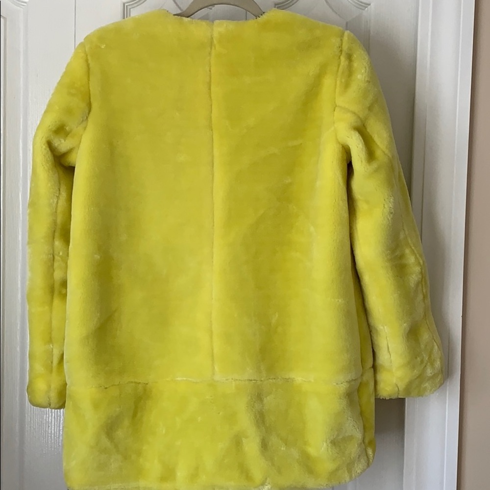 Zara Faux Fur Coat - Picture 3 of 6